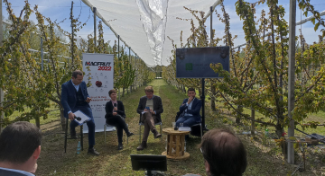 Fra i filari di ciliegi di Vignola per il lancio di MACFRUT 2022